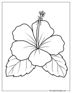 Read more about the article Free Printable Flower Coloring Pages: Blooming Creativity for Kids & Adults!